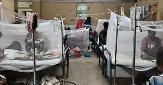 চাঁপাইনবাবগঞ্জে ভয়ঙ্কর রূপ নিচ্ছে ডেঙ্গু, হাসপাতালে বাড়ছে রোগী